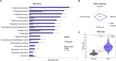 DMT Models the Near-Death Experience